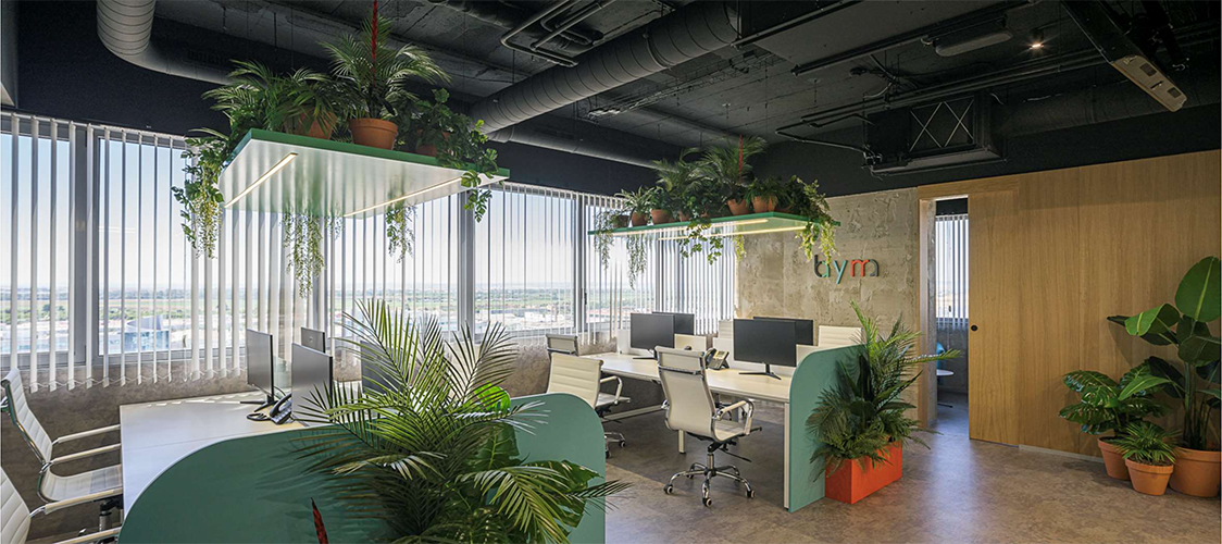 Equipo técnico Bayma IT Business Services